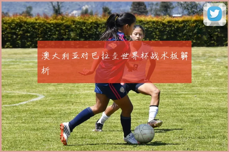 澳大利亚对巴拉圭世界杯战术板解析