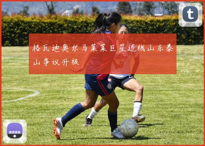 格瓦迪奥尔马莱莱巨星连线山东泰山争议升级