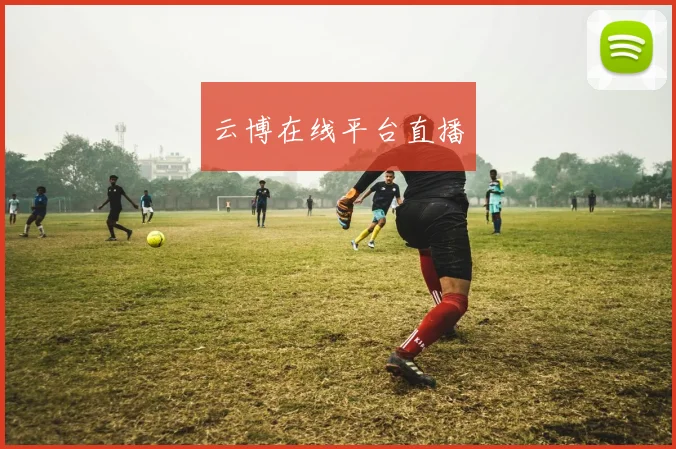 云博在线平台直播