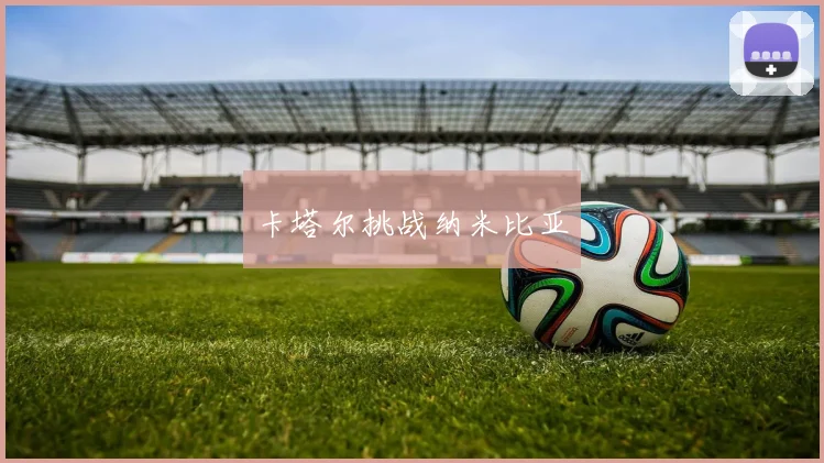 卡塔尔挑战纳米比亚
