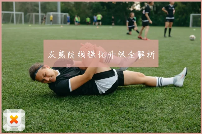 灰熊防线强化升级全解析