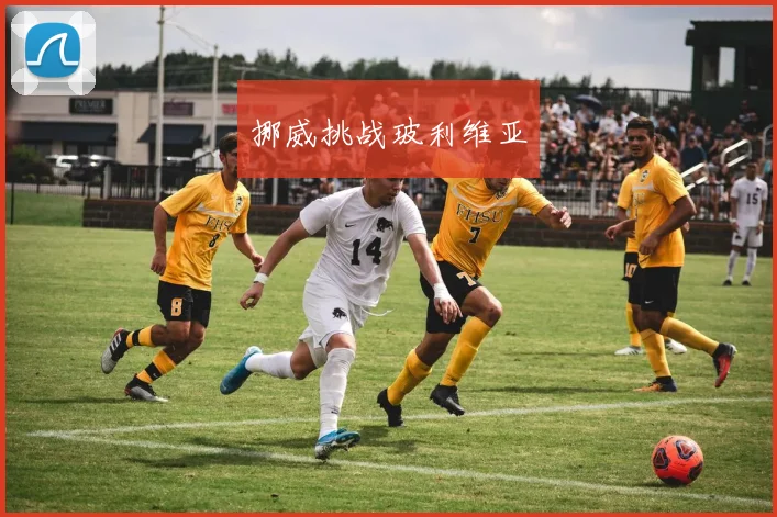 挪威挑战玻利维亚