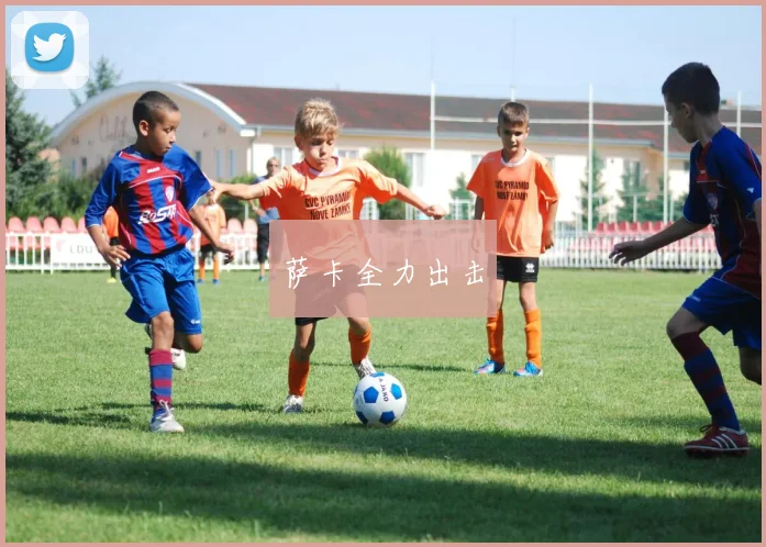 萨卡全力出击