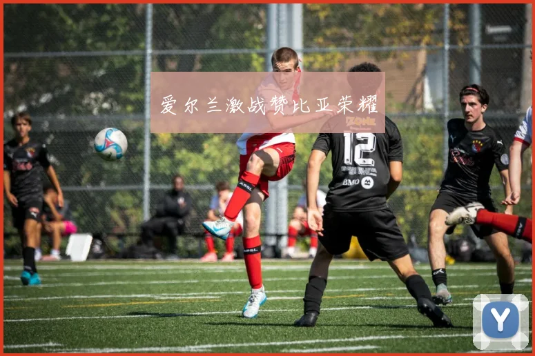 爱尔兰激战赞比亚荣耀