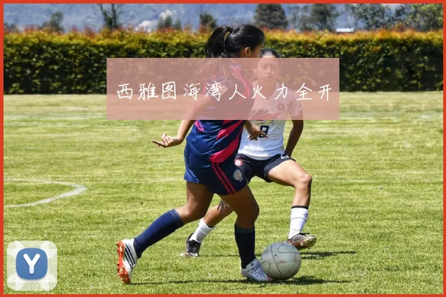 西雅图海湾人火力全开