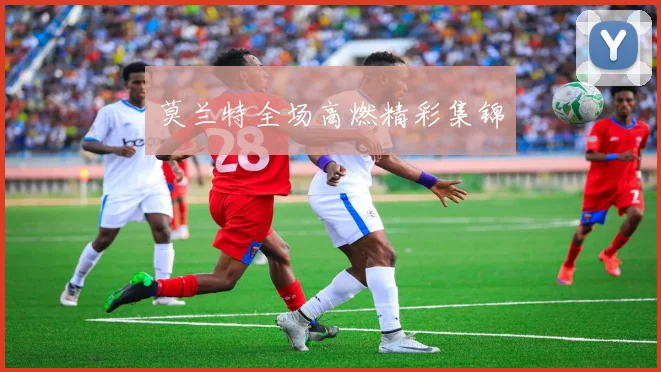 莫兰特全场高燃精彩集锦
