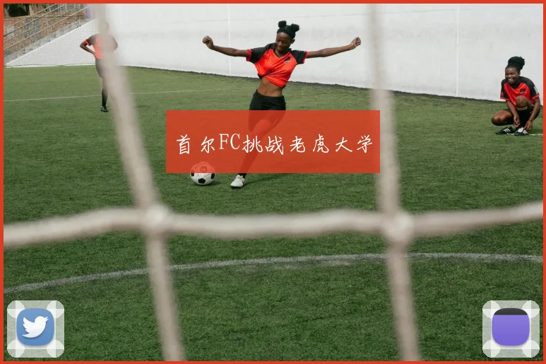 首尔FC挑战老虎大学