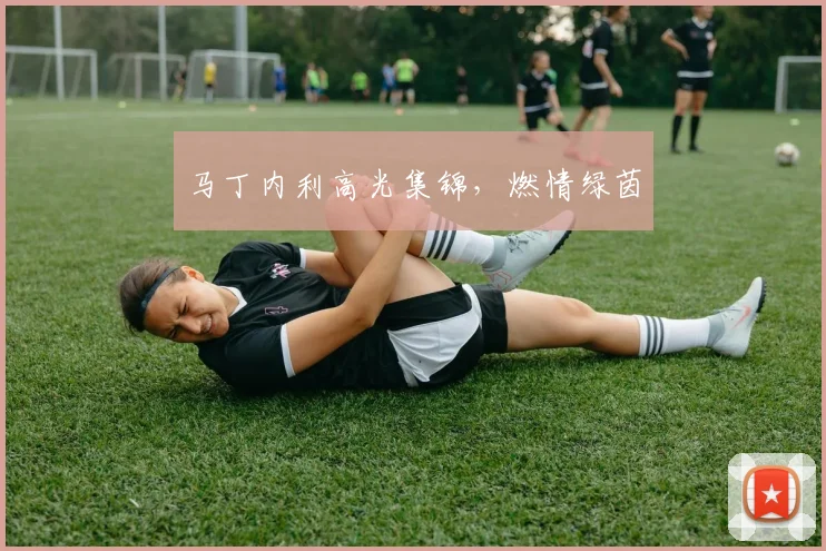 马丁内利高光集锦，燃情绿茵