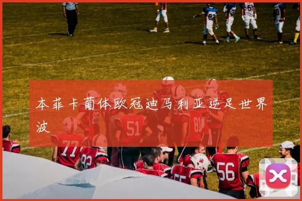 本菲卡葡体欧冠迪马利亚逆足世界波