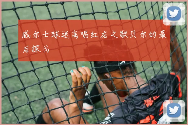 威尔士球迷高唱红龙之歌贝尔的最后探戈