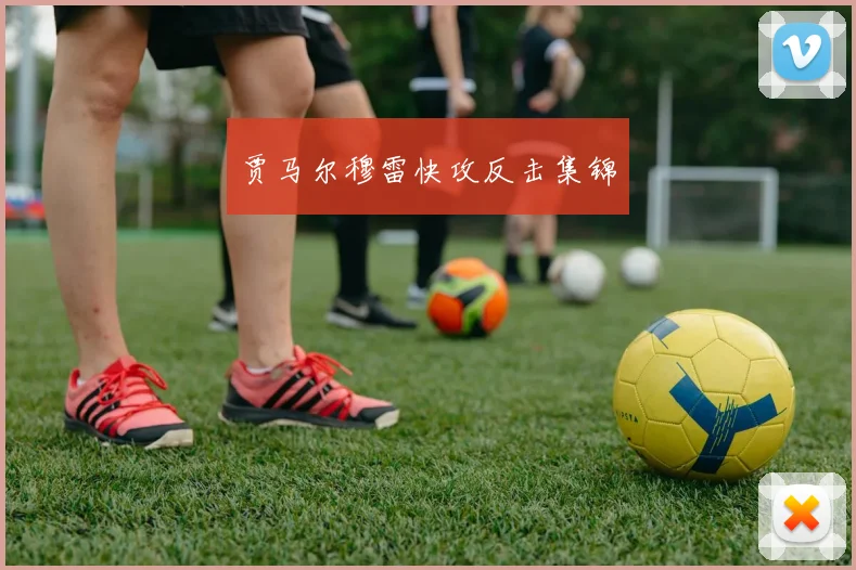 贾马尔穆雷快攻反击集锦