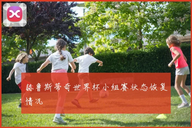 赫鲁斯蒂奇世界杯小组赛状态恢复情况