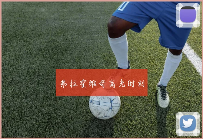 弗拉霍维奇高光时刻