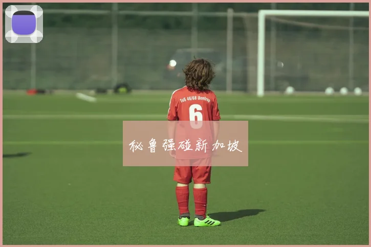 秘鲁强碰新加坡