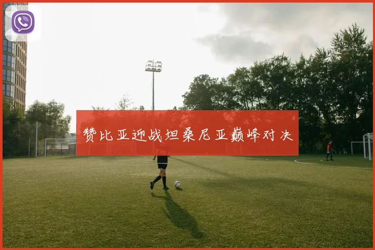 赞比亚迎战坦桑尼亚巅峰对决