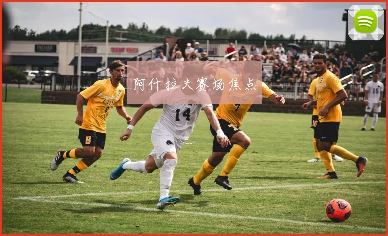 阿什拉夫赛场焦点