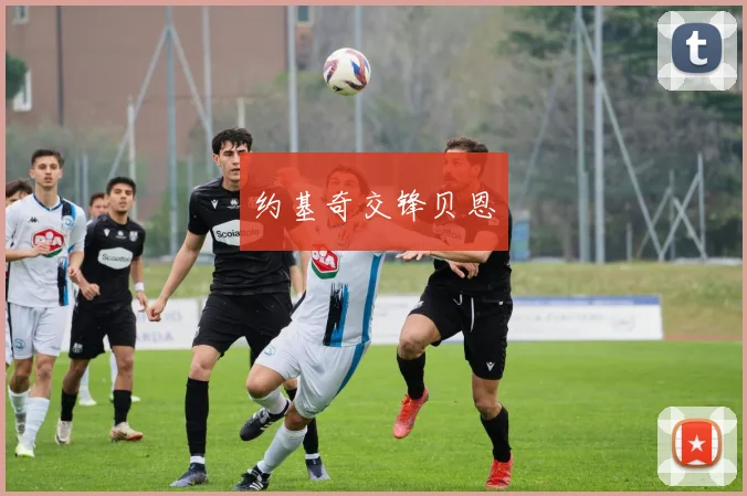 约基奇交锋贝恩