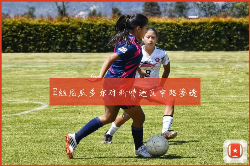 E组厄瓜多尔对科特迪瓦中路渗透