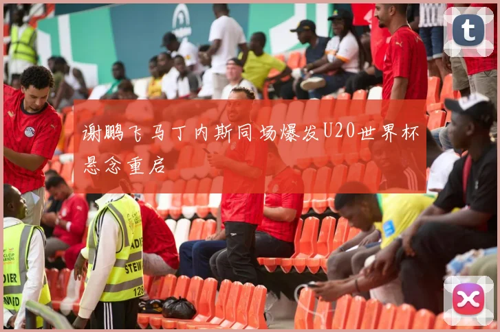 谢鹏飞马丁内斯同场爆发U20世界杯悬念重启