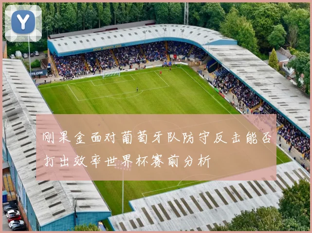刚果金面对葡萄牙队防守反击能否打出效率世界杯赛前分析