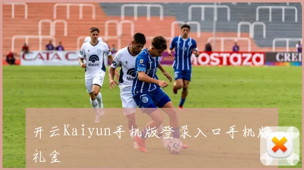 开云Kaiyun手机版登录入口手机版礼金