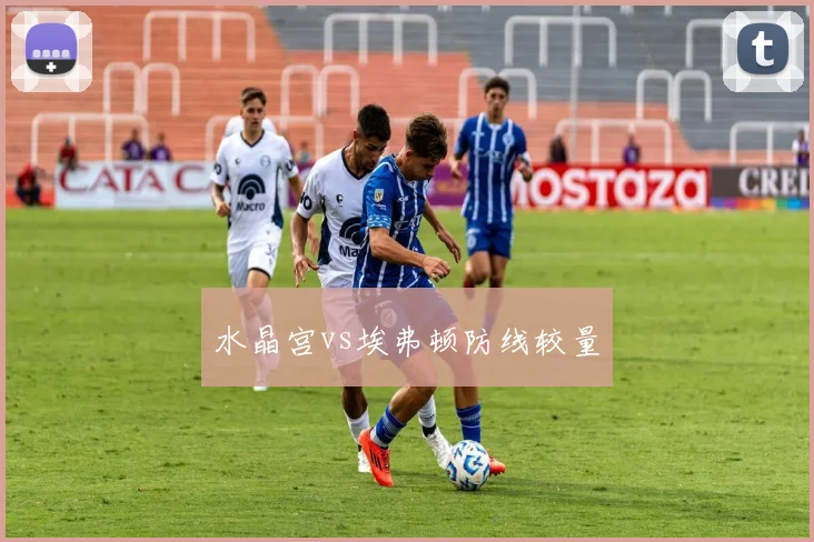 水晶宫vs埃弗顿防线较量