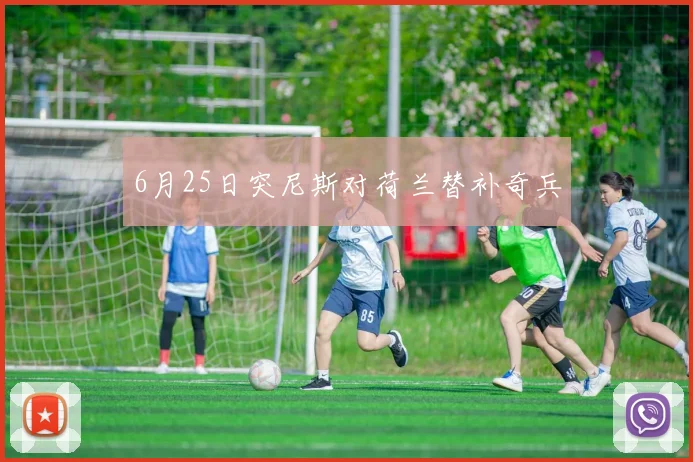 6月25日突尼斯对荷兰替补奇兵